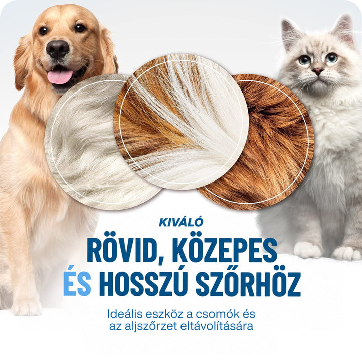 Egy golden retriever és egy hosszú szőrű, világos macska, köztük három kör alakú szőrtextúra-közelkép. 5