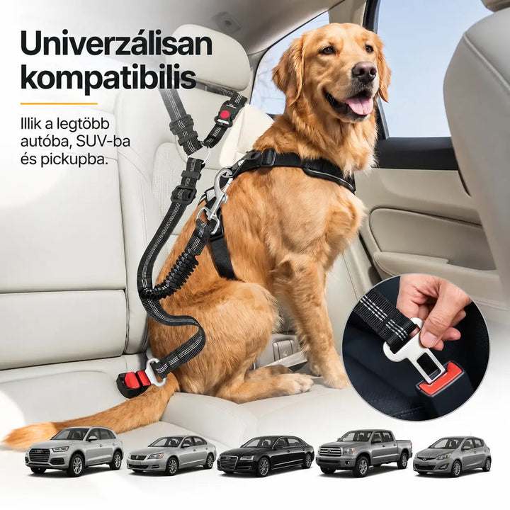 Retriever hámban ül az ülésen, az öv a csatba kapcsolva, alatta különböző autótípusok 6