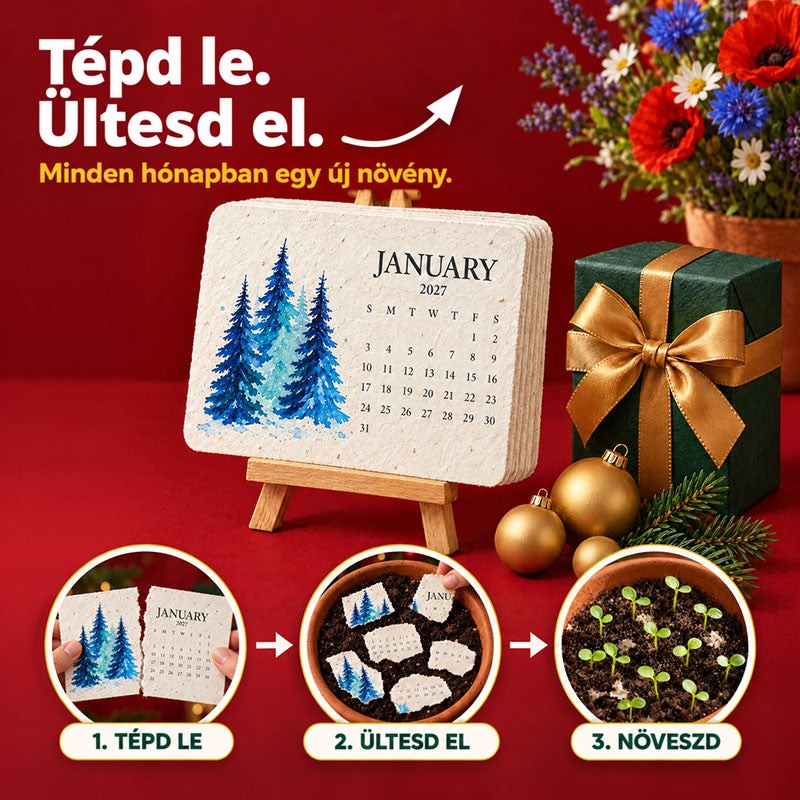 Januári fenyős lap kis állványon karácsonyi díszek között, alatta a szétszakítás, elültetés és kicsírázás három lépése 1