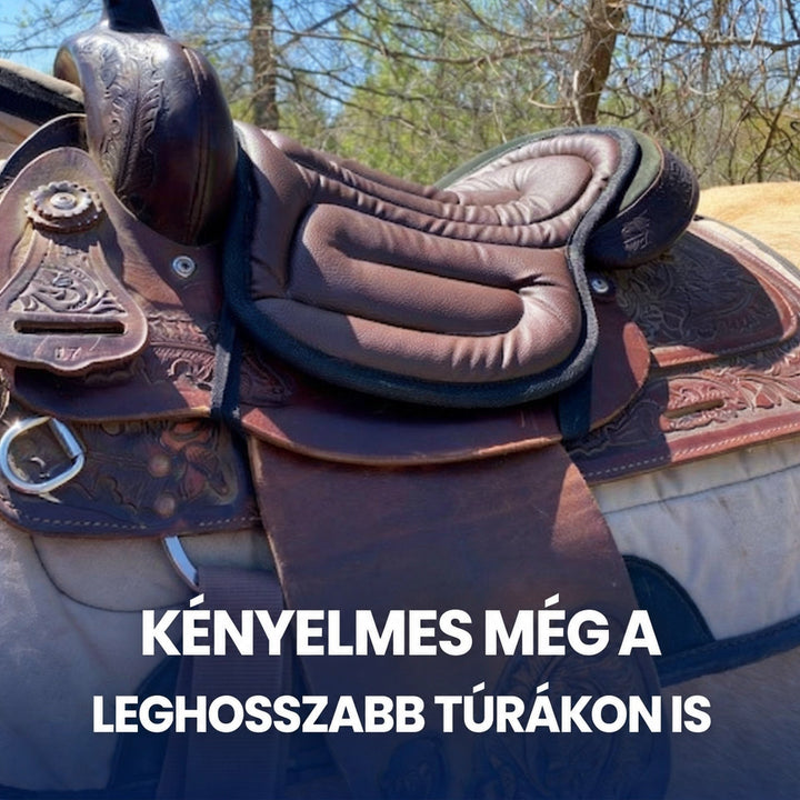 Barna ülőpárna díszített bőr western nyergen, szabadban, egy ló hátán 3