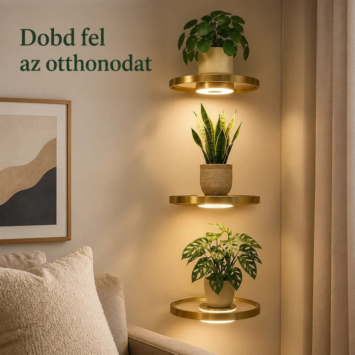 Három kerek, arany szegélyű lebegő polc egymás alatt a falon, alattuk meleg fényű LED-del, mindegyiken egy cserepes növény a kanapé mellett. 1