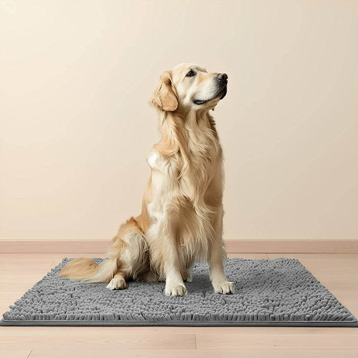 Szőke szőrű golden retriever ül egy szürke, bolyhos chenille szőnyegen világos fapadlón, bézs fal előtt. 1