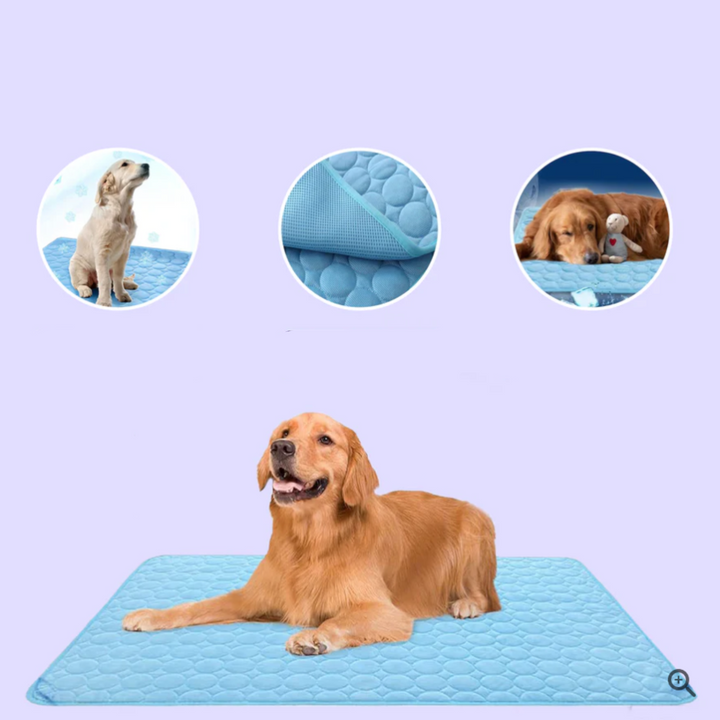 Innovatív Hűsítőmatrac Kutyáknak (4x Hűtőteljesítmény) - ChillComfort
