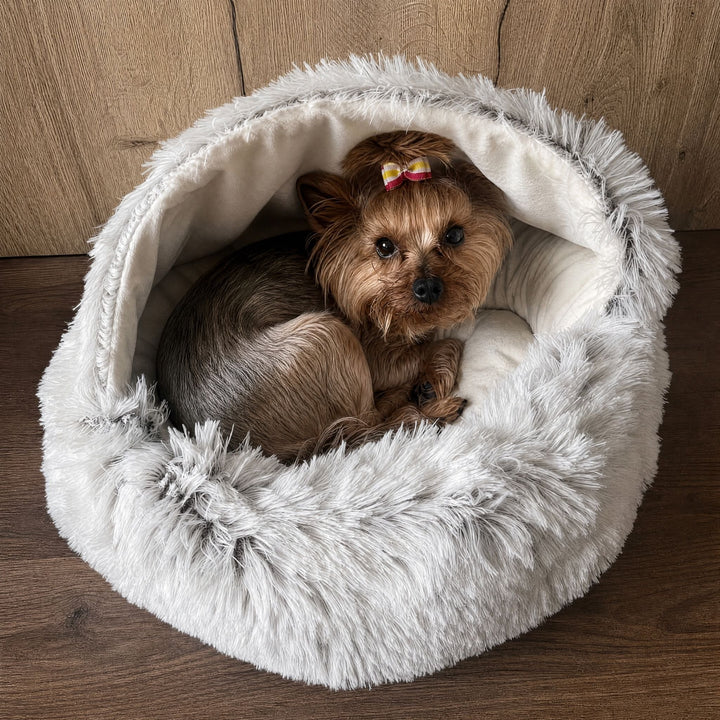 Fehéres-szürke plüss barlangágy fa háttér előtt, benne összegömbölyödve fekszik egy masnis fejű kis yorkshire terrier. 9