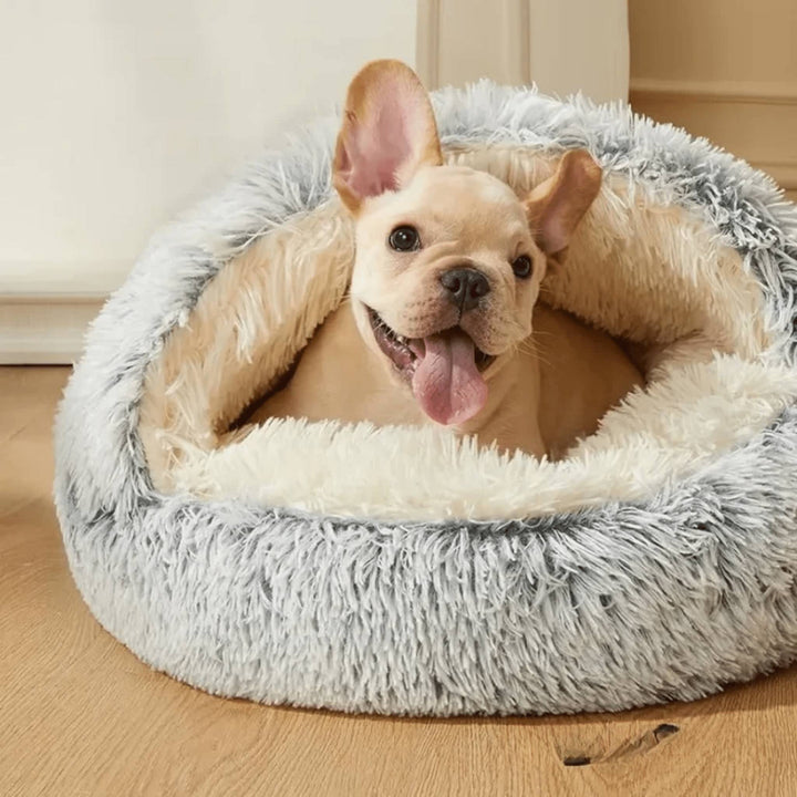 Szürke, hosszú szálú plüss barlangágy, belsejében krémszínű bélés, benne egy vidáman kilógó nyelvű bézs francia bulldog kölyök. 1