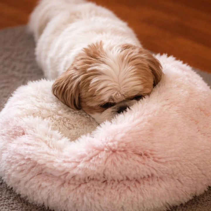 Rózsaszín, puha plüss fánk ágy közelről, amelyre egy fehér-barna shih tzu fektette fejét. 12