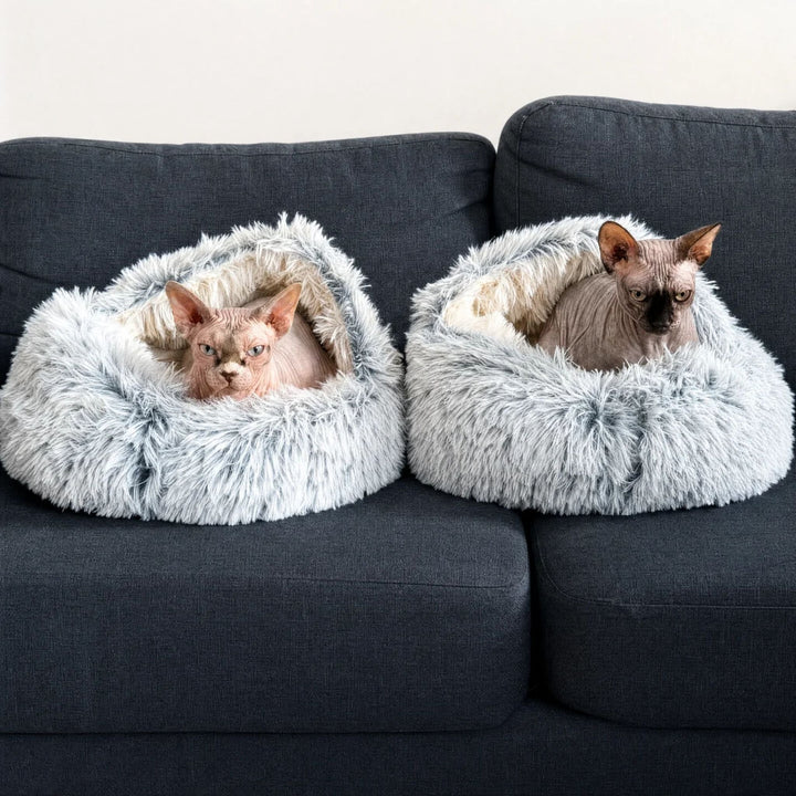Két világosszürke plüss barlangágy egy sötét kanapén, mindegyikben egy szőrtelen sphynx macska pihen. 8