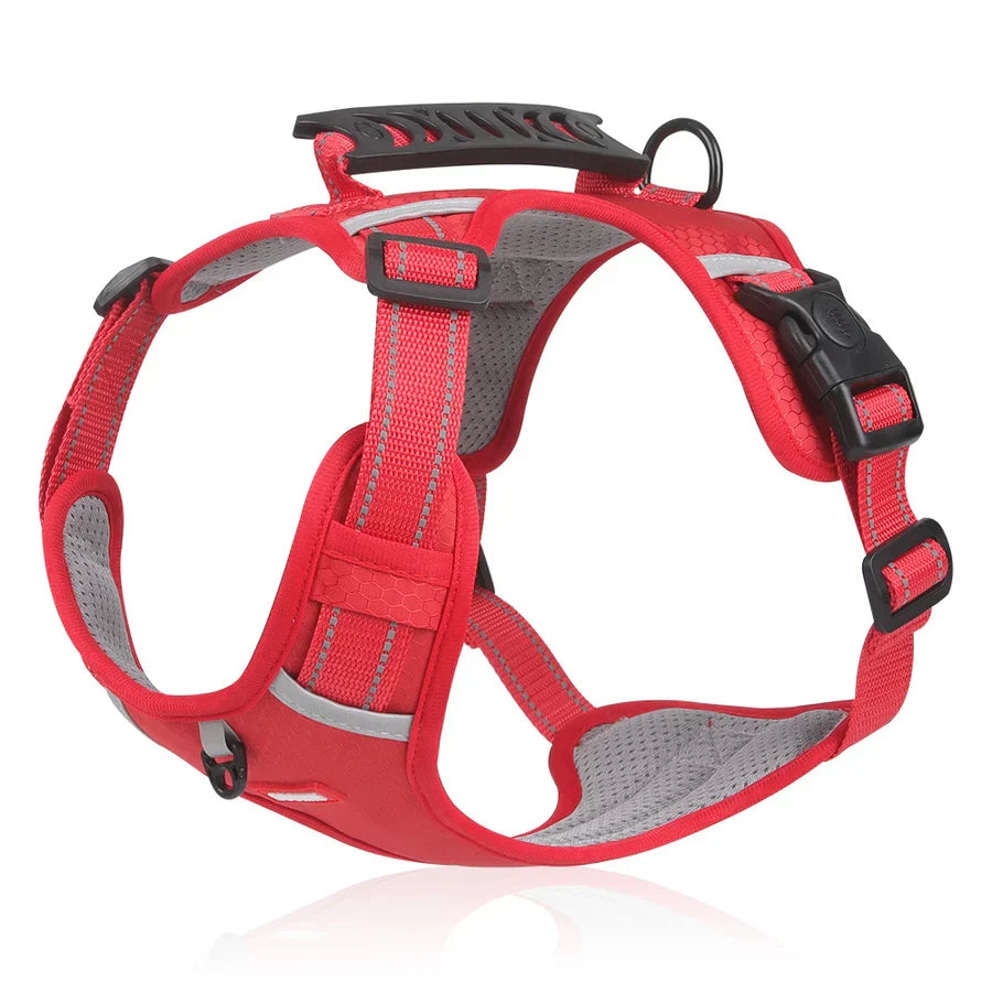 Stabil és Kényelmes Kutyaharness - ActivePup™