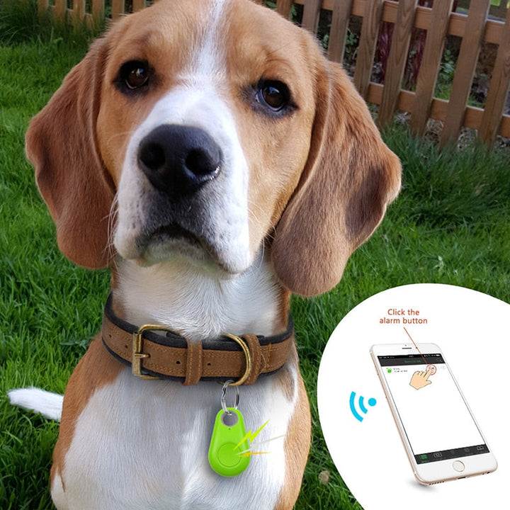 Háziállat GPS Címke - PawFinder
