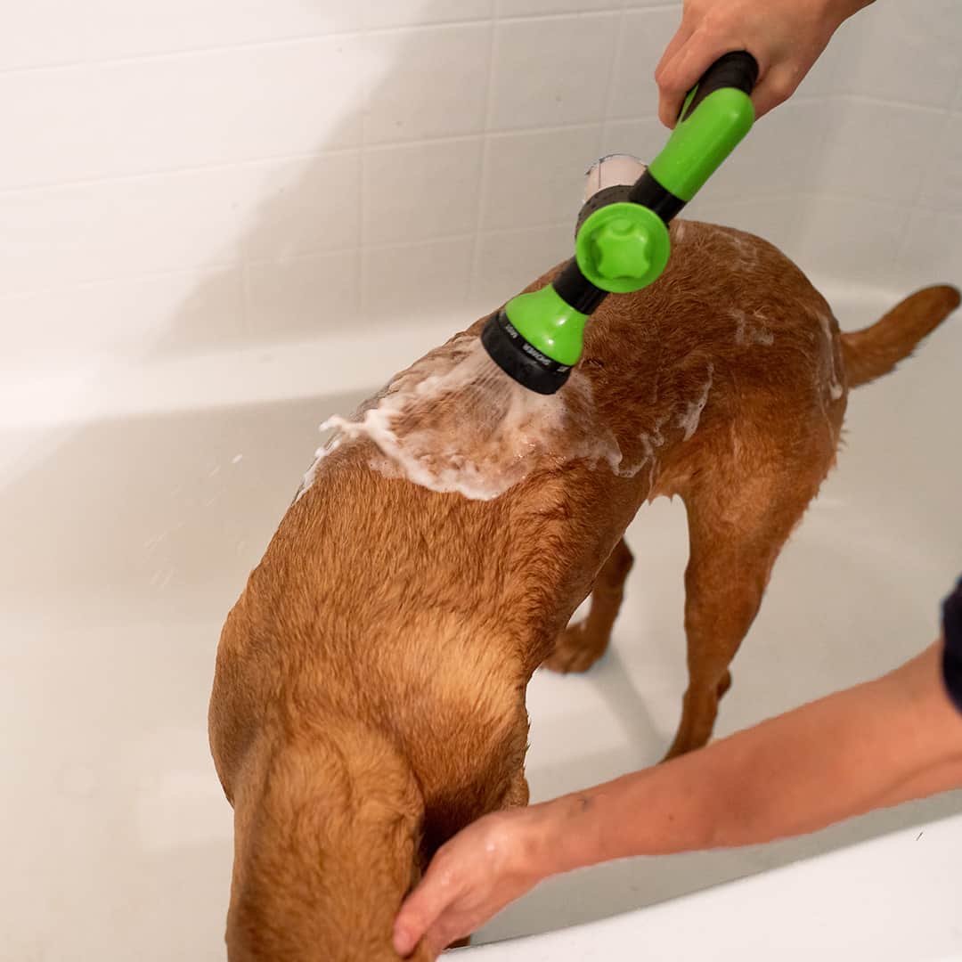 Kutyák Zuhanyzó Permetező - WashBuddy