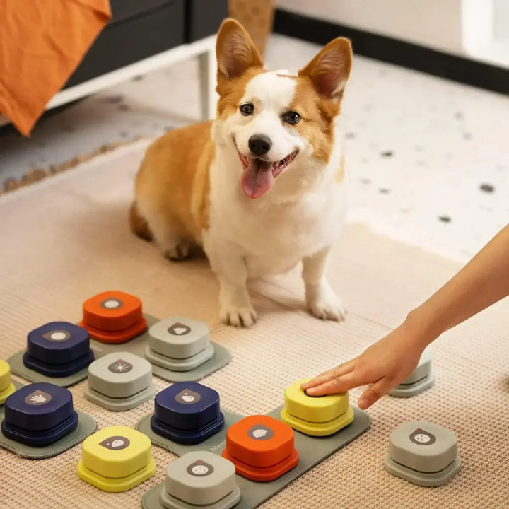 Kutya Kommunikációs Gombok Szett - BarkTalk