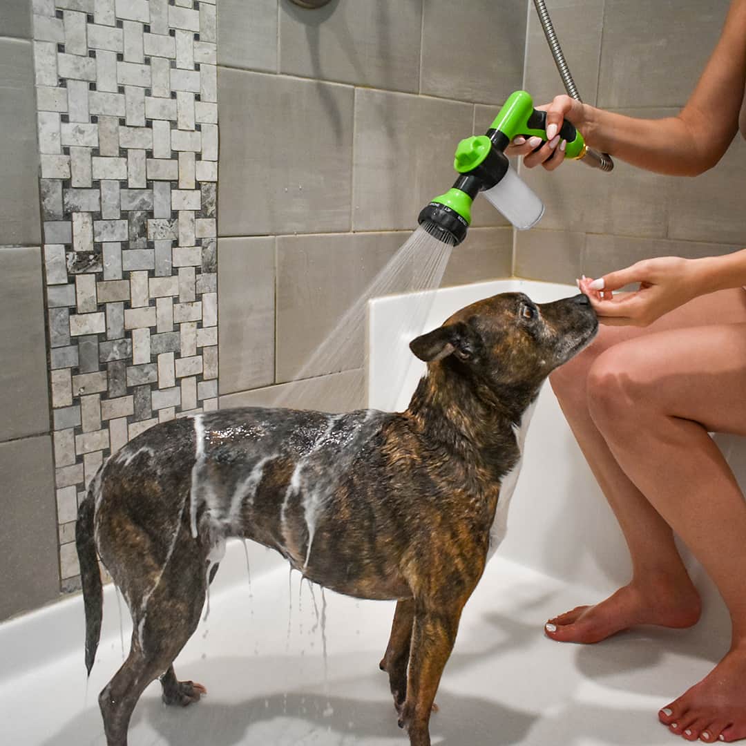 Kutyák Zuhanyzó Permetező - WashBuddy