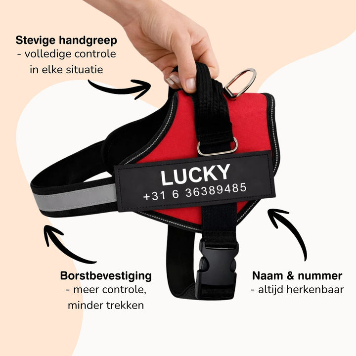 Personalized Dog Harness - Reflective & Supportive Design 7