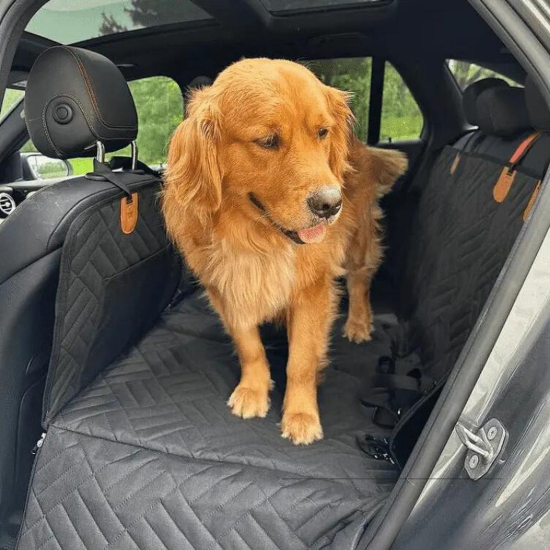 Aranyszínű retriever áll a fekete steppelt üléshuzaton, amely a két első üléstámlára van felerősítve. 5