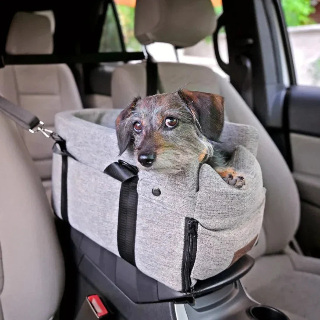 Carpool ülés háziállatoknak - PawVoyage