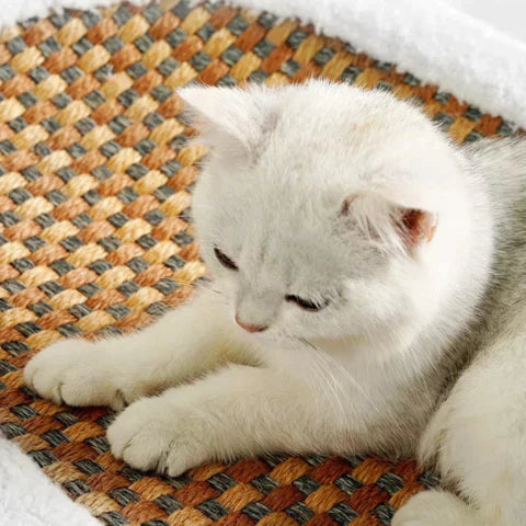 Karom a macskáknak - PurrLuxe