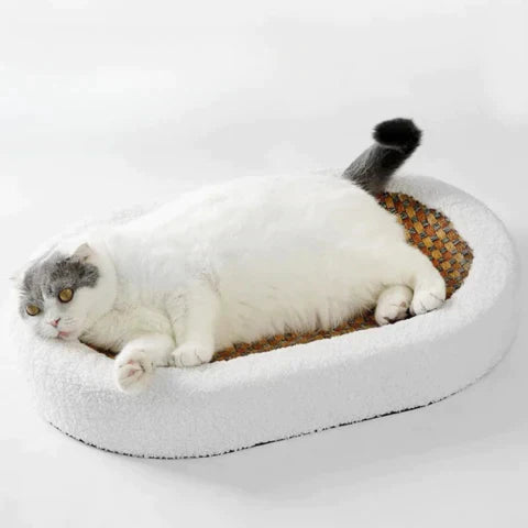Karom a macskáknak - PurrLuxe