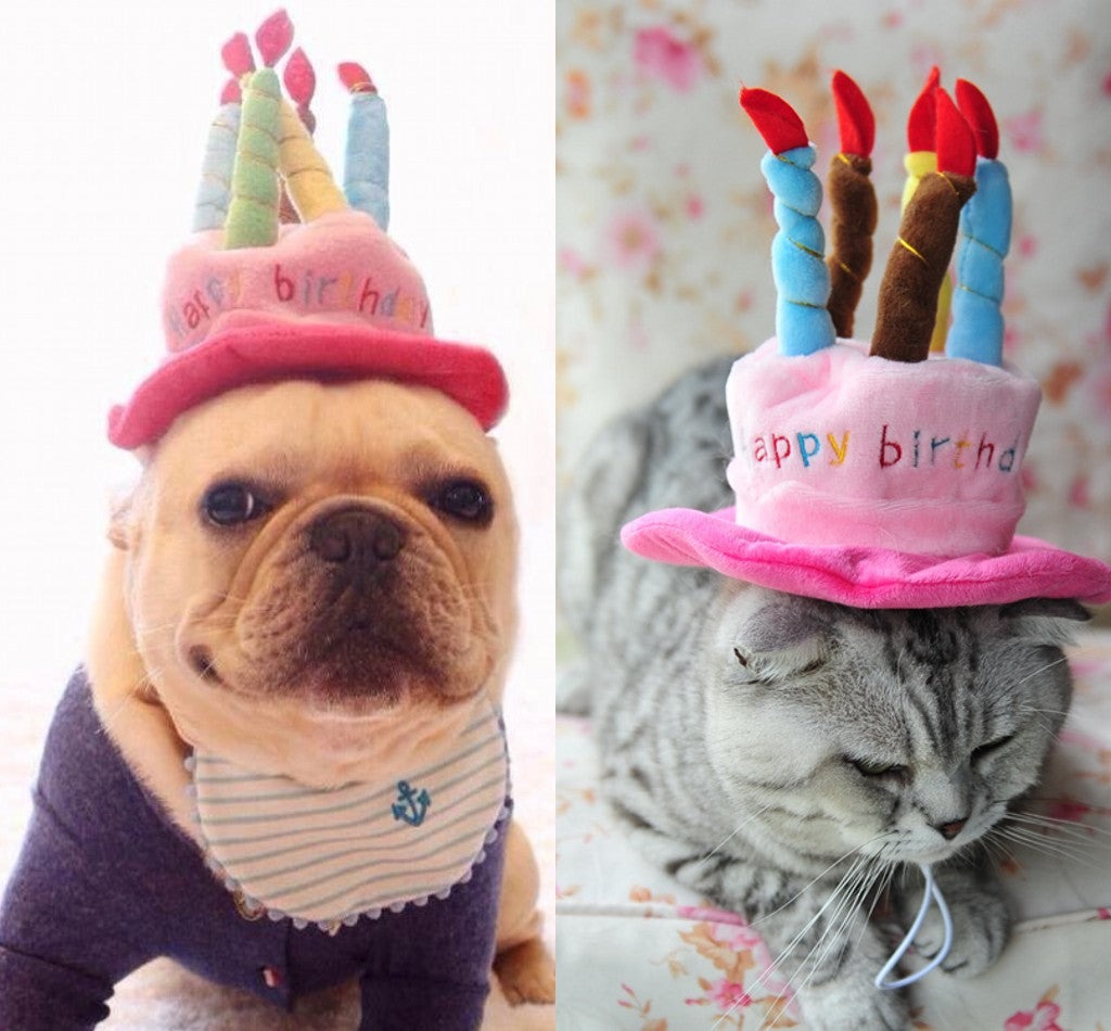 Születésnapi kalap kutyáknak és macskáknak - PartyPaws