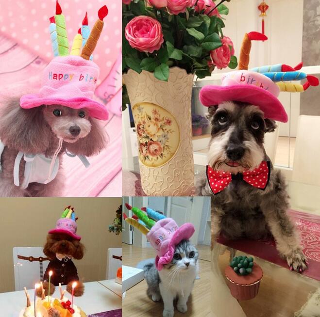 Születésnapi kalap kutyáknak és macskáknak - PartyPaws