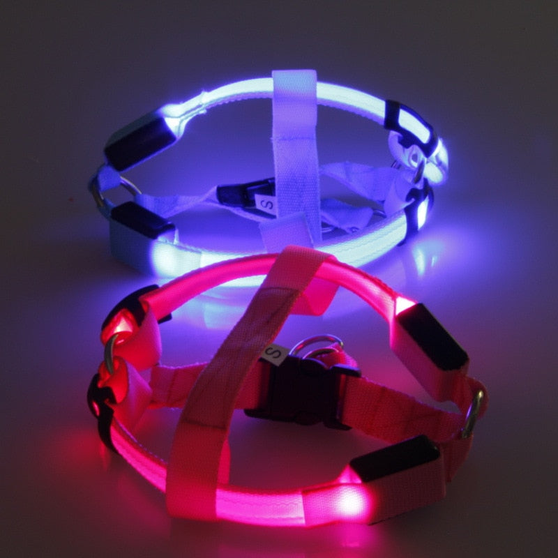LED-es kutyahám - Glow&Go