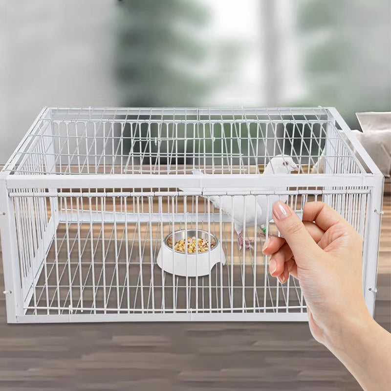 AA NOT AVAIALBLE Állatbarát madárcsapda visszarúgásgátlóval – BirdSafe csapda