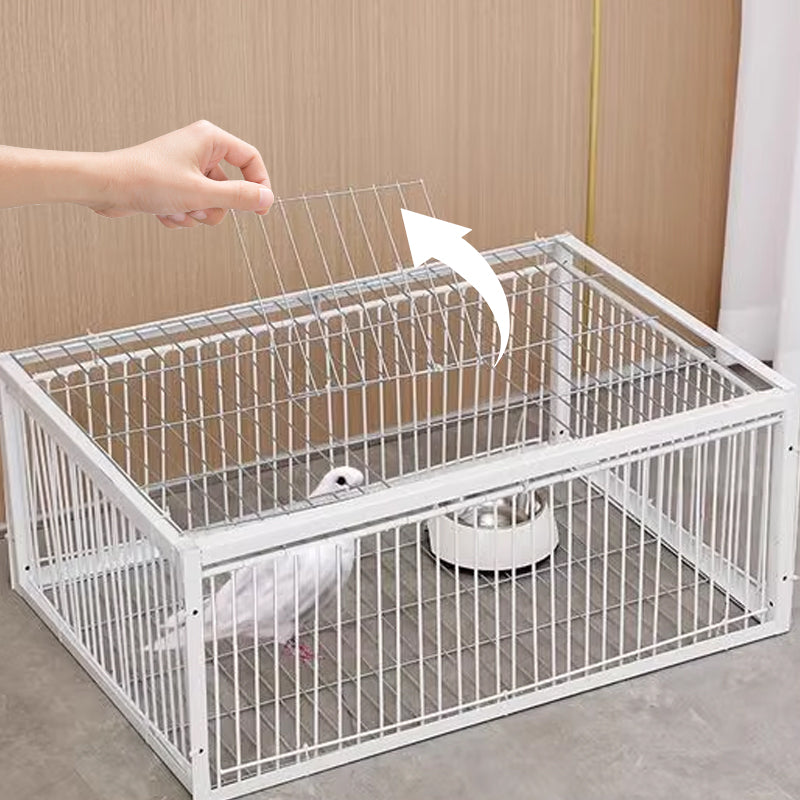 AA NOT AVAIALBLE Állatbarát madárcsapda visszarúgásgátlóval – BirdSafe csapda