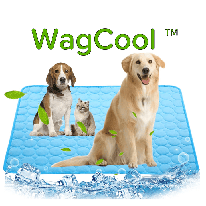 Hűsítő Kutyaszőnyeg - CoolPet Mat