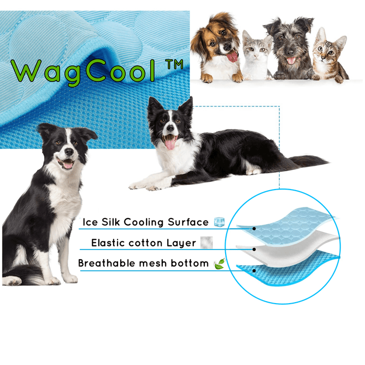 Hűsítő Kutyaszőnyeg - CoolPet Mat