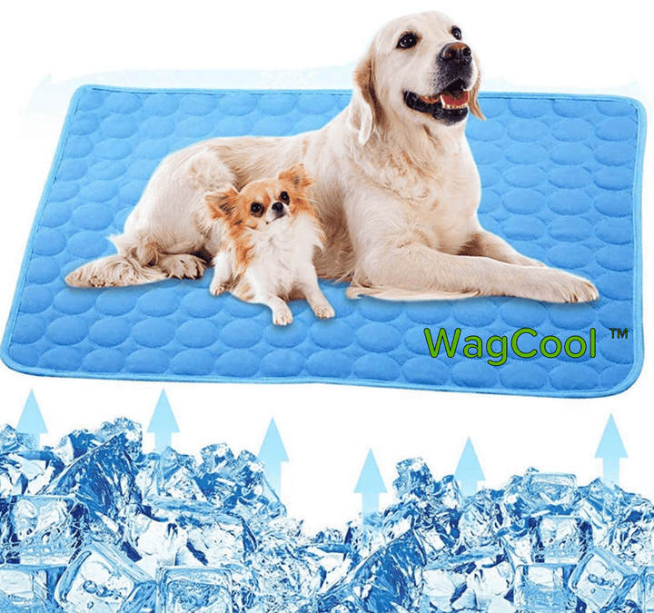 Hűsítő Kutyaszőnyeg - CoolPet Mat