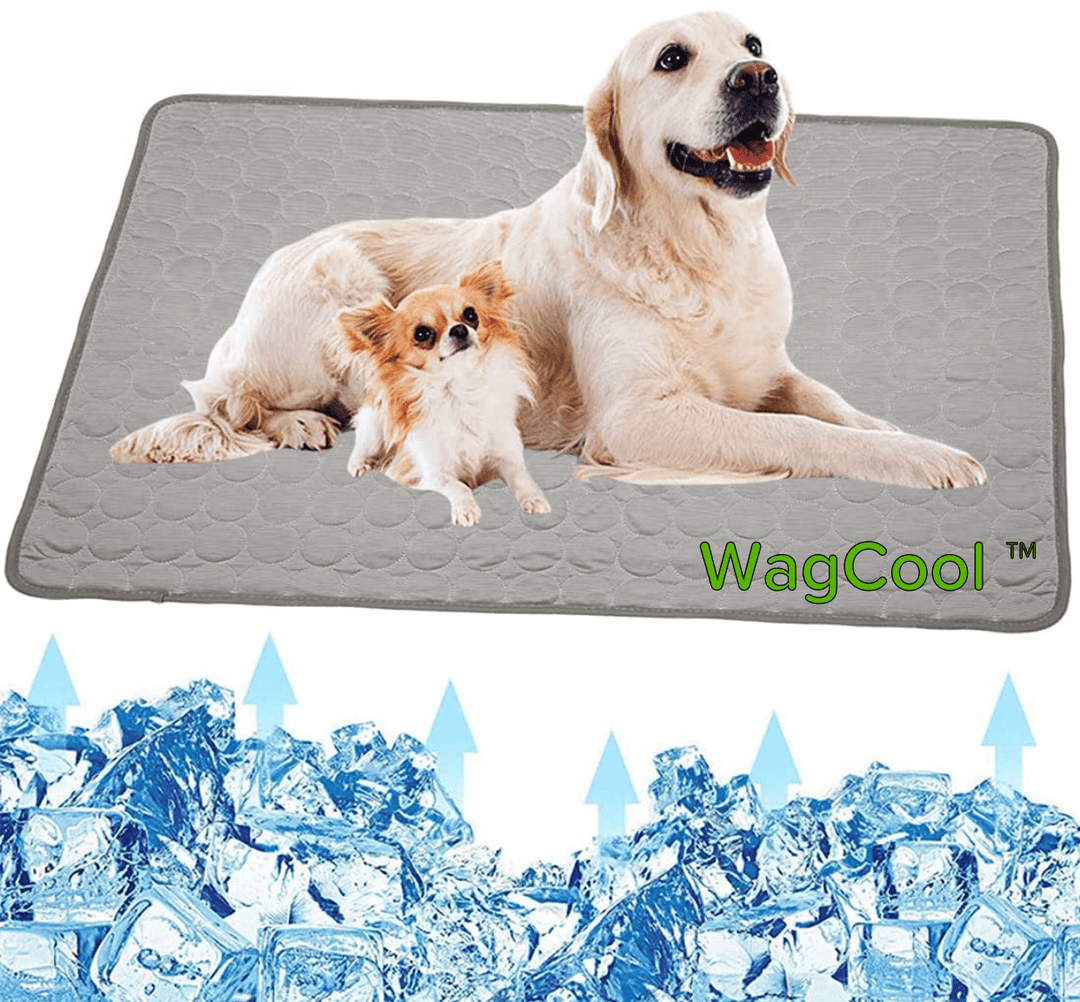 Hűsítő Kutyaszőnyeg - CoolPet Mat