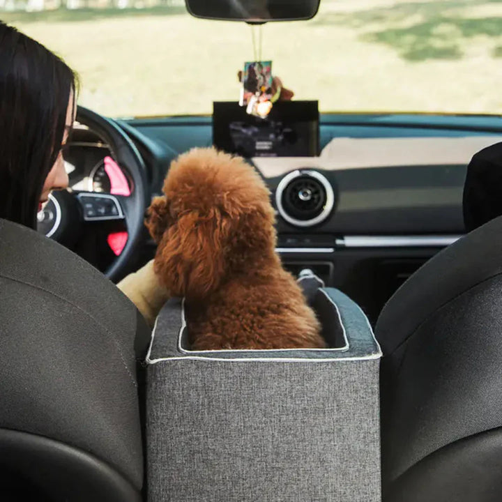 Carpool ülés háziállatoknak - PawVoyage